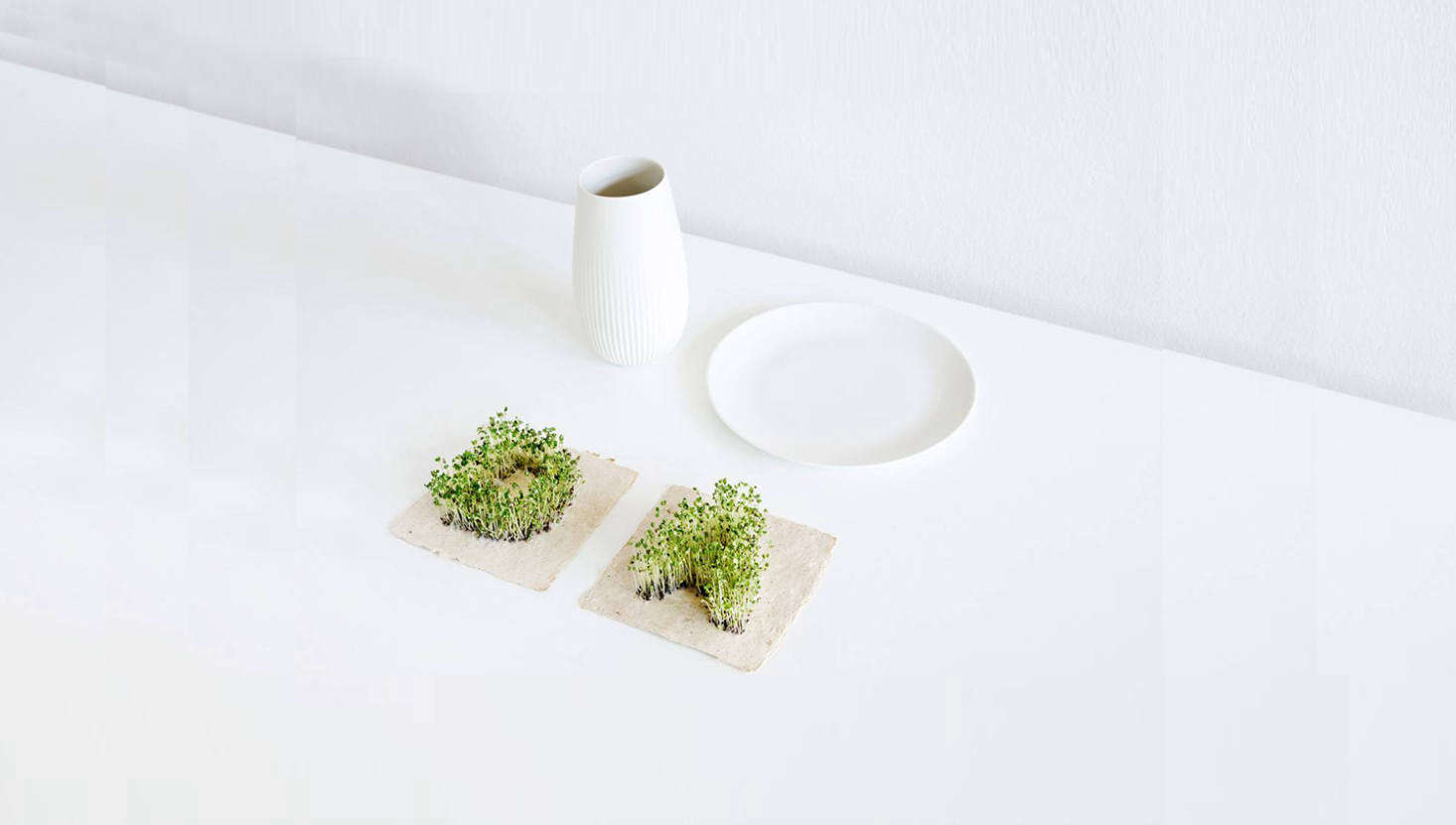 Perfect for secret messages: what looks at first like a simple piece of paper transforms into a miniature garden with the addition of water. Leafling Plant Growing Paper is imprinted with tiny seeds in the shape of letters (plus a heart); it