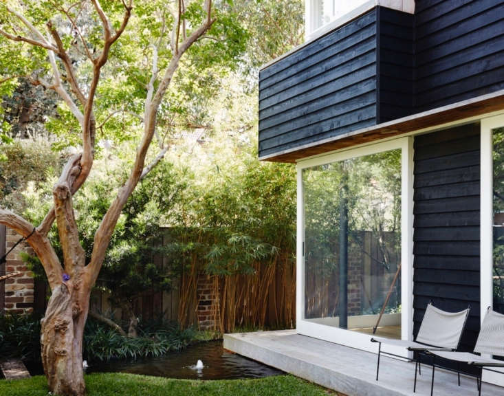 When landscape architect William Dangar designed a garden for his own family (near Sydney, Australia), he incorporated a small backyard pond fringed by Japanese sweet flag grass. See more in Downsizing a House to Expand the Garden: At Home with Landscape Architect William Dangar. Photograph by Prue Ruscoe, courtesy of William Dangar.