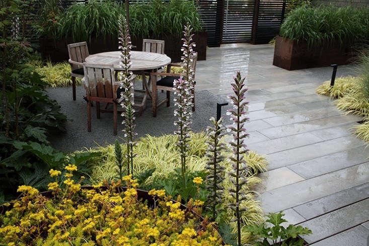 On Washington’s Bainbridge Island, a path is edged with lime green Acorus gramineus &#8\2\16;Ogon’ grass. In the foreground, yellow Sedum &#8\2\16;Angelina’ and tall spires of Acanthus mollis create visual interest. See more of this garden in Water’s Edge: A Saltwater Courtyard Garden on Bainbridge Island. Photograph courtesy of Wittman Estes.