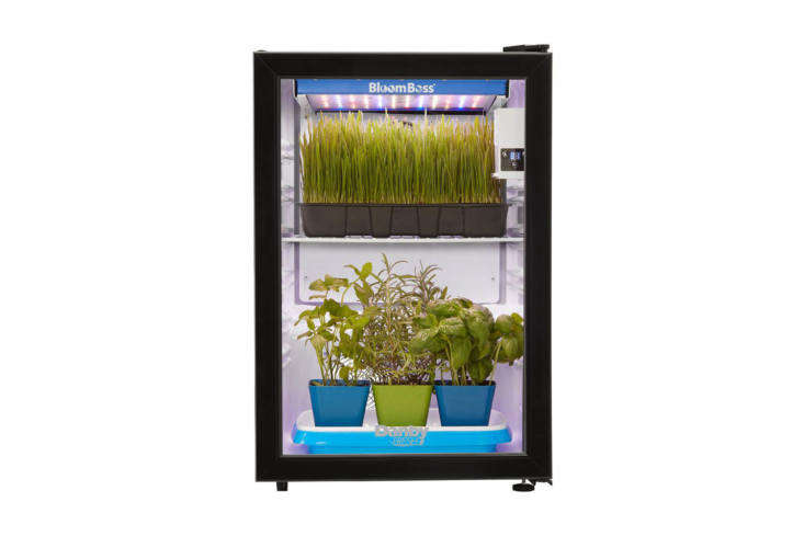 For a more robust herb growing operation, the Danby Herb Grower with \16-Watt LED BloomBoss Lighting is the size of a mini fridge that includes a grow light, fan-assisted air circulation, wire shelves, and a digital timer for light cycles; \$399 at The Home Depot.