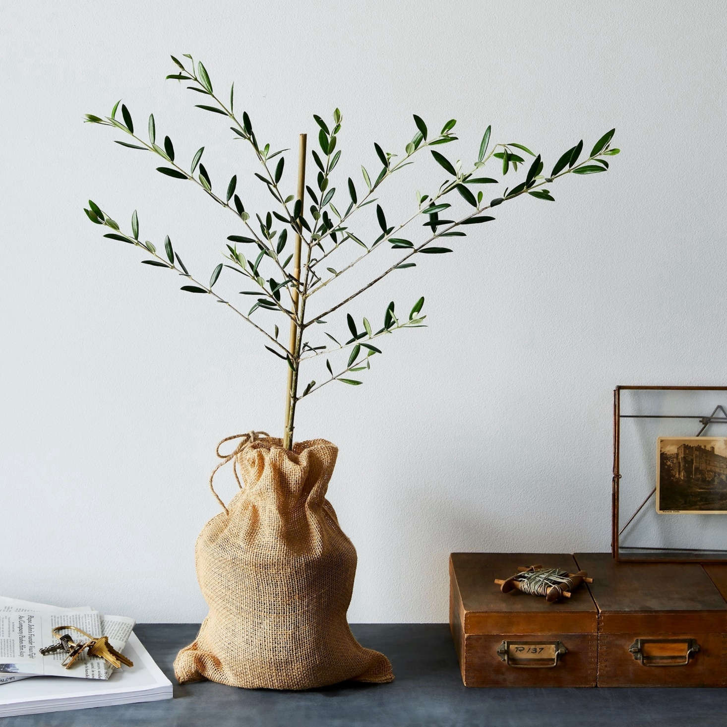 Photograph courtesy of Food5