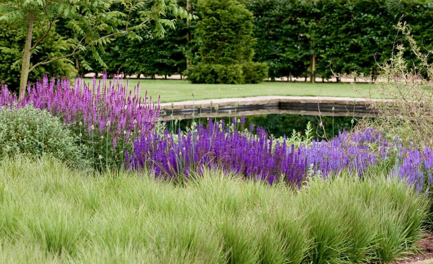 At Scampston Hall in Yorkshire, the gardens by designer Piet Oudolf rely on perennial grasses for texture and contrast to deeply colored perennials such as salvias. See more of Scampston in Garden Visit: Dutch Master Piet Oudolf in Yorkshire. Photograph by Alhdata-src=