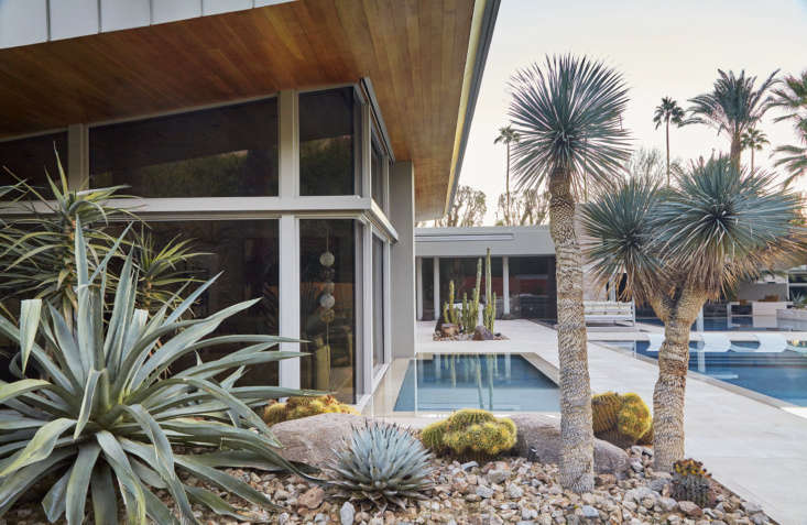 Surrounding a swimming pool in Palm Springs, California, a garden looks like an art gallery full of sculpture. &#8\2\20;The  reflections of these architectural and graphic plants in the water creates an amazing experience,&#8\2\2\1; says Nolan.