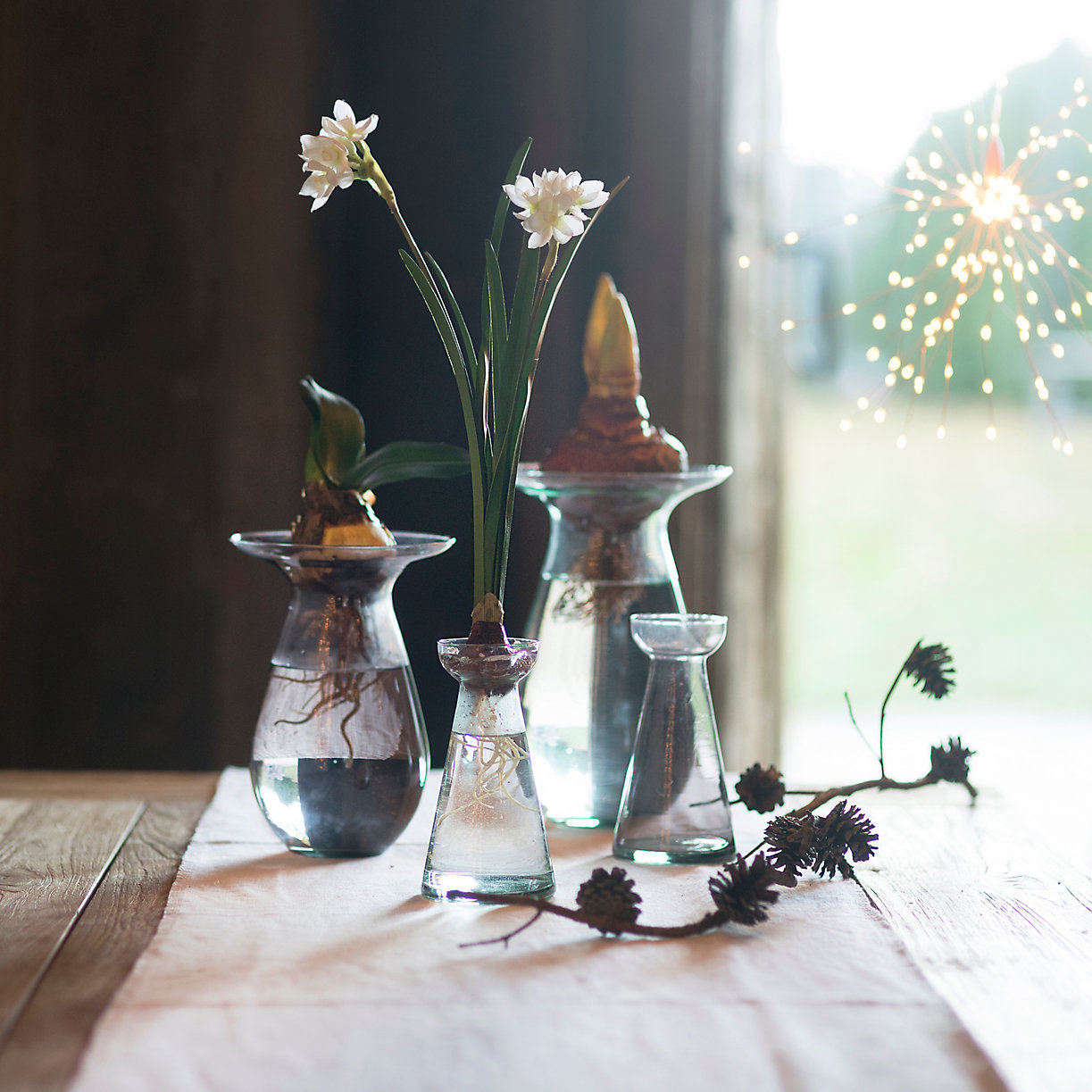 Irresistible Colored Glass Vases for Flowering Bulbs (for Under 20