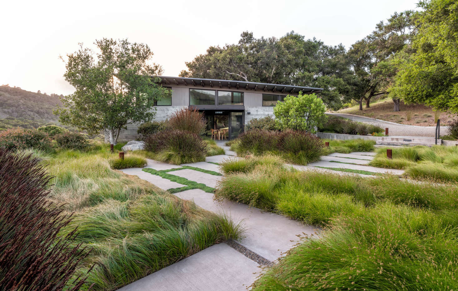 Between the pavers grows a carpet of evergreen creeping thyme (Thymus serpyllum 
