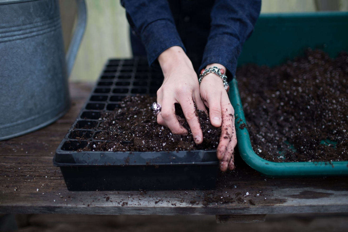 Photograph by Chris Benzakein, courtesy of Floret, from Your First Garden: What You Need to Know Before You Grow Plants from Seeds.