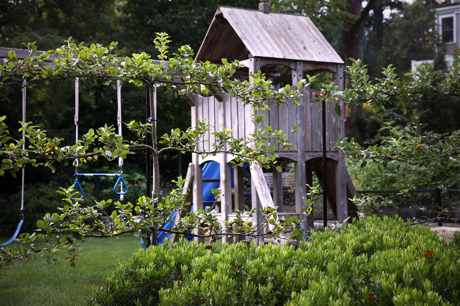 Throughout the property, Cunningham and Hanss deployed permeable barriers to define each space while maintaining a sense of openness. One of our favorites: a border of native inkberry and espaliered apple trees separates the play area from the driveway.