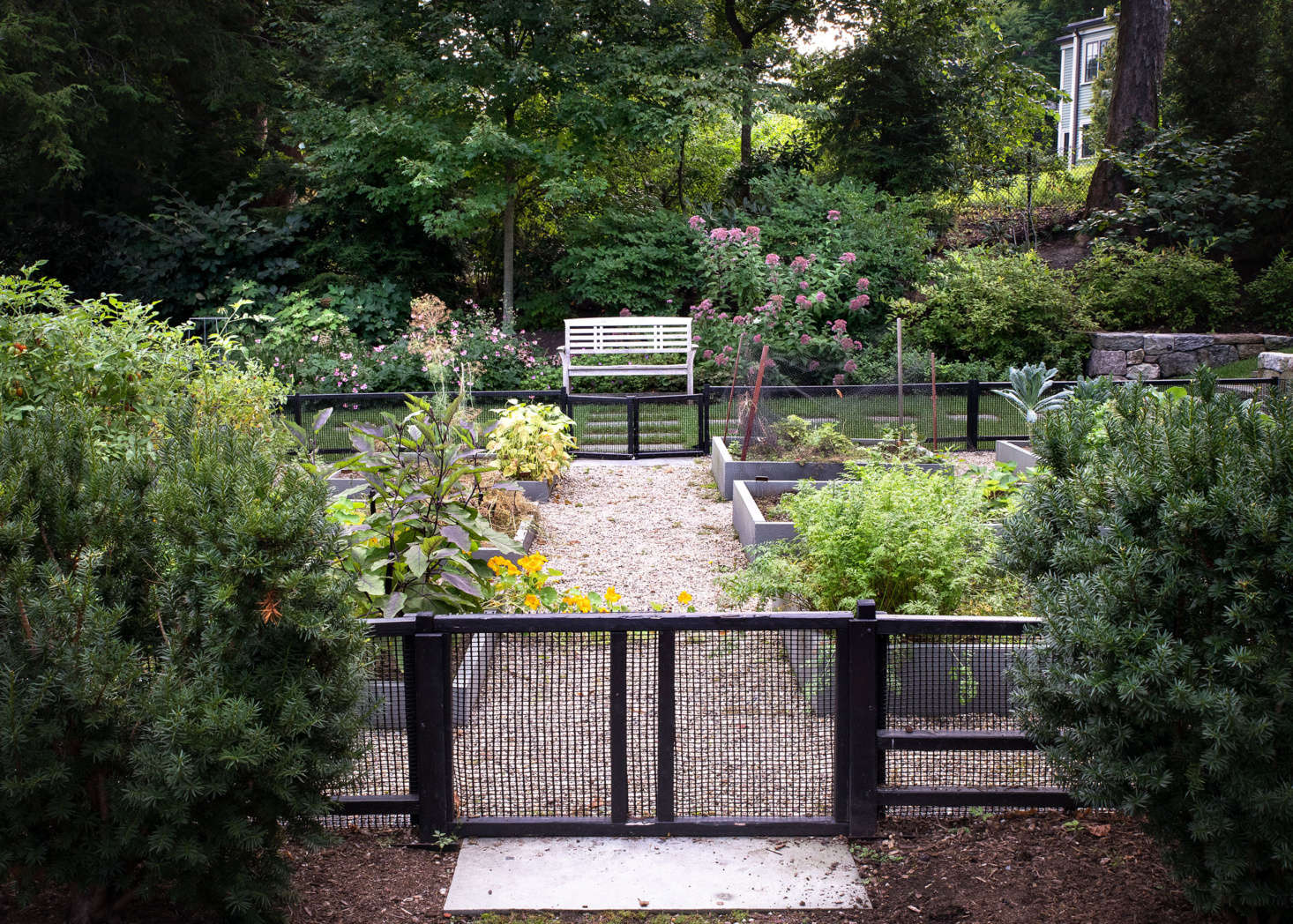 The kitchen garden, which has a number of raised beds, can be accessed from both the driveway and the lawn.