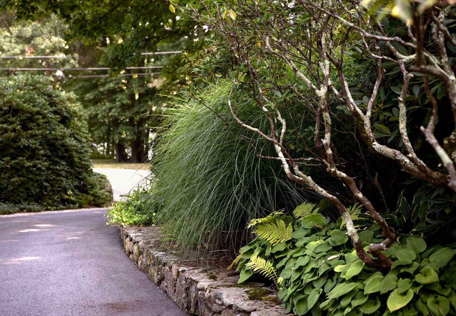 Original stone walls and puddingstone steps which lead to the main house provided inspiration for the new spaces in the back garden. Serving as a privacy barrier, a textured assortment of shade-loving plants, shrubs and grasses, planted along an vintage stone wall, shield the home from the main road.