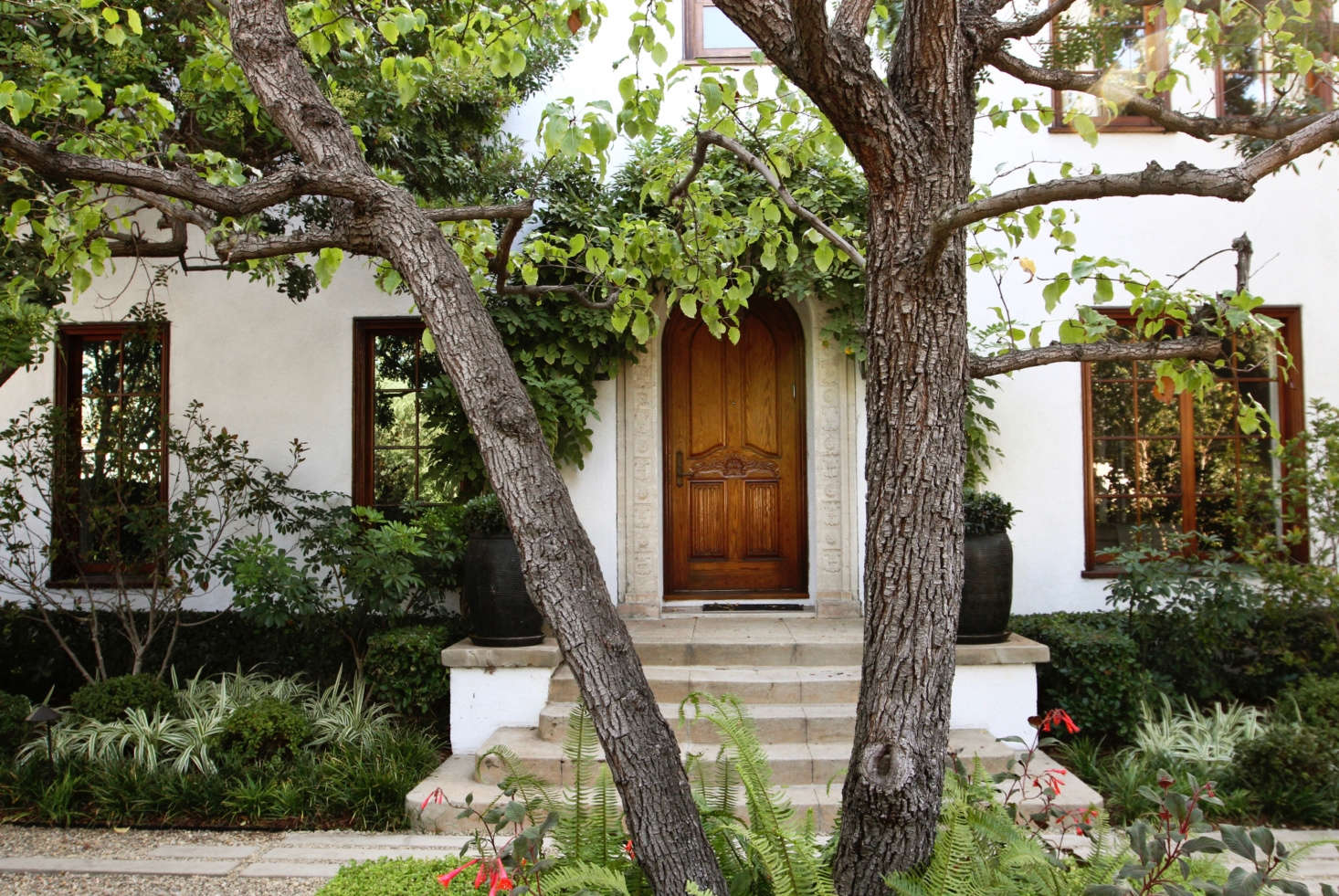 Variegated Dianella (also shown in the top photo) flanks the front entryway of a house in LA