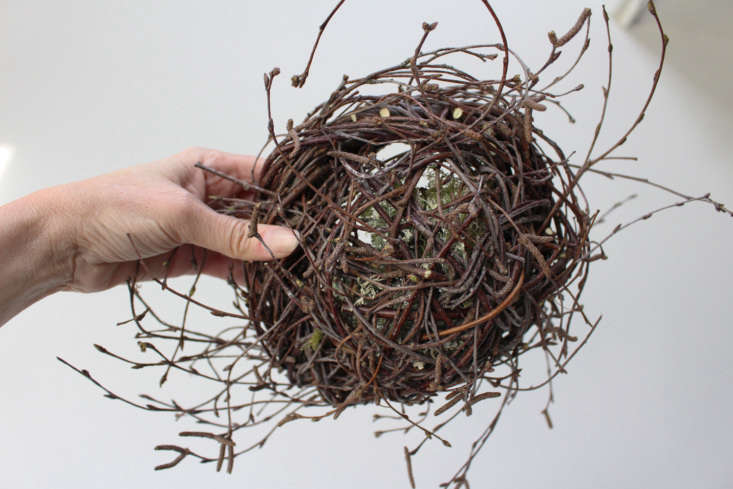 The base of the nest. Trimmed butts and woven-in twigs allow a more clear shape to emerge.