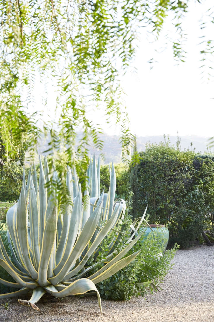 Plantings frame views of the valley beyond.