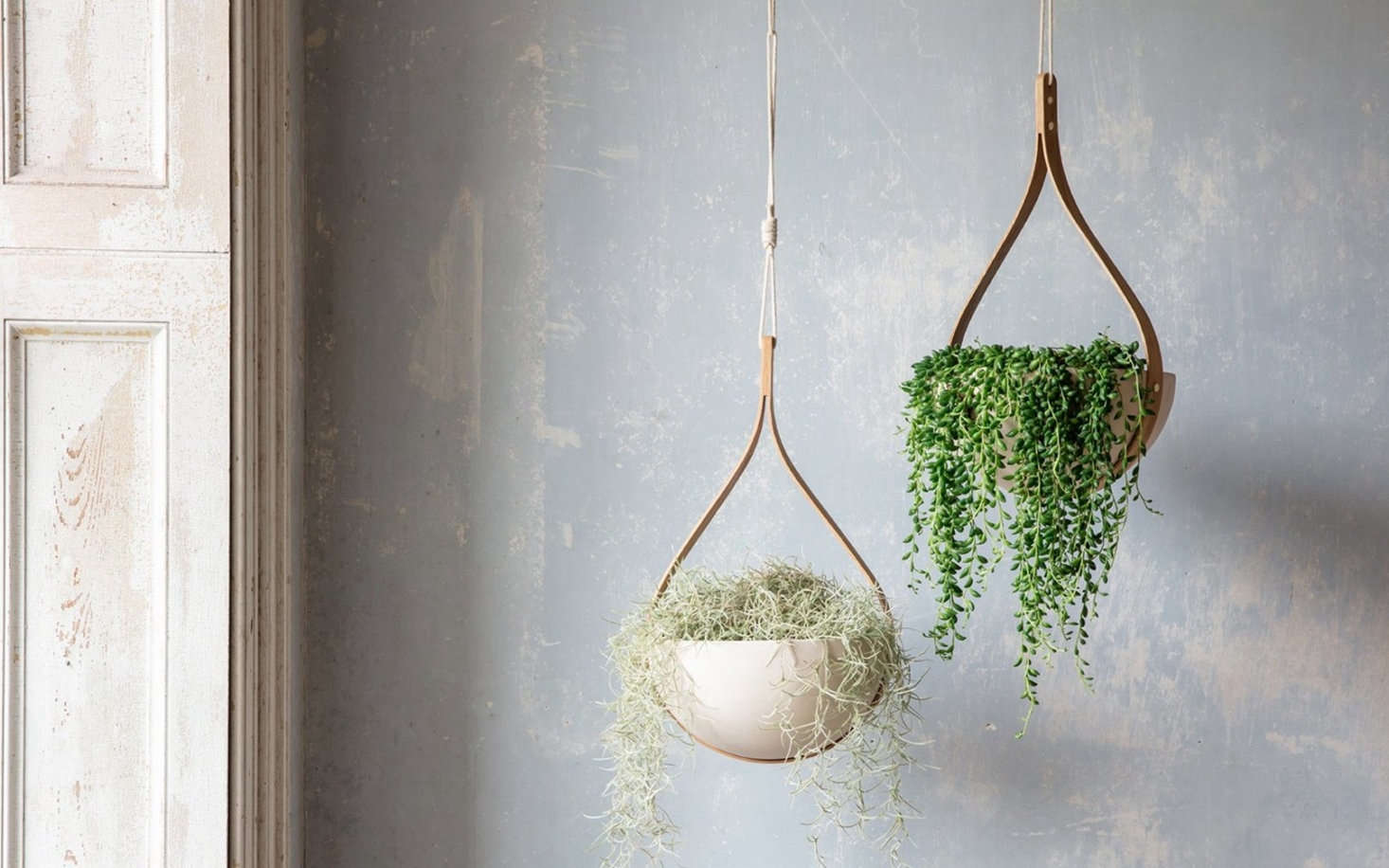 The Morvah Hanging Ceiling Planter is $£5.