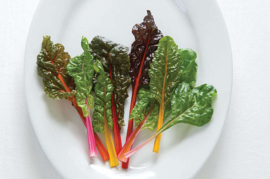 Swiss Chard 