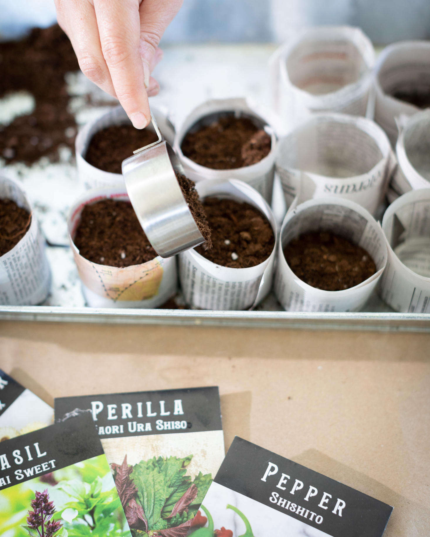 You can purchase a potting mix specifically designed for starting seeds.
