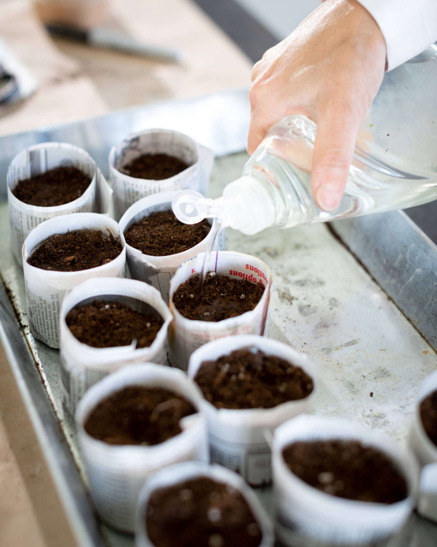 A repurposed dish soap bottle works great for watering the tiny pots.