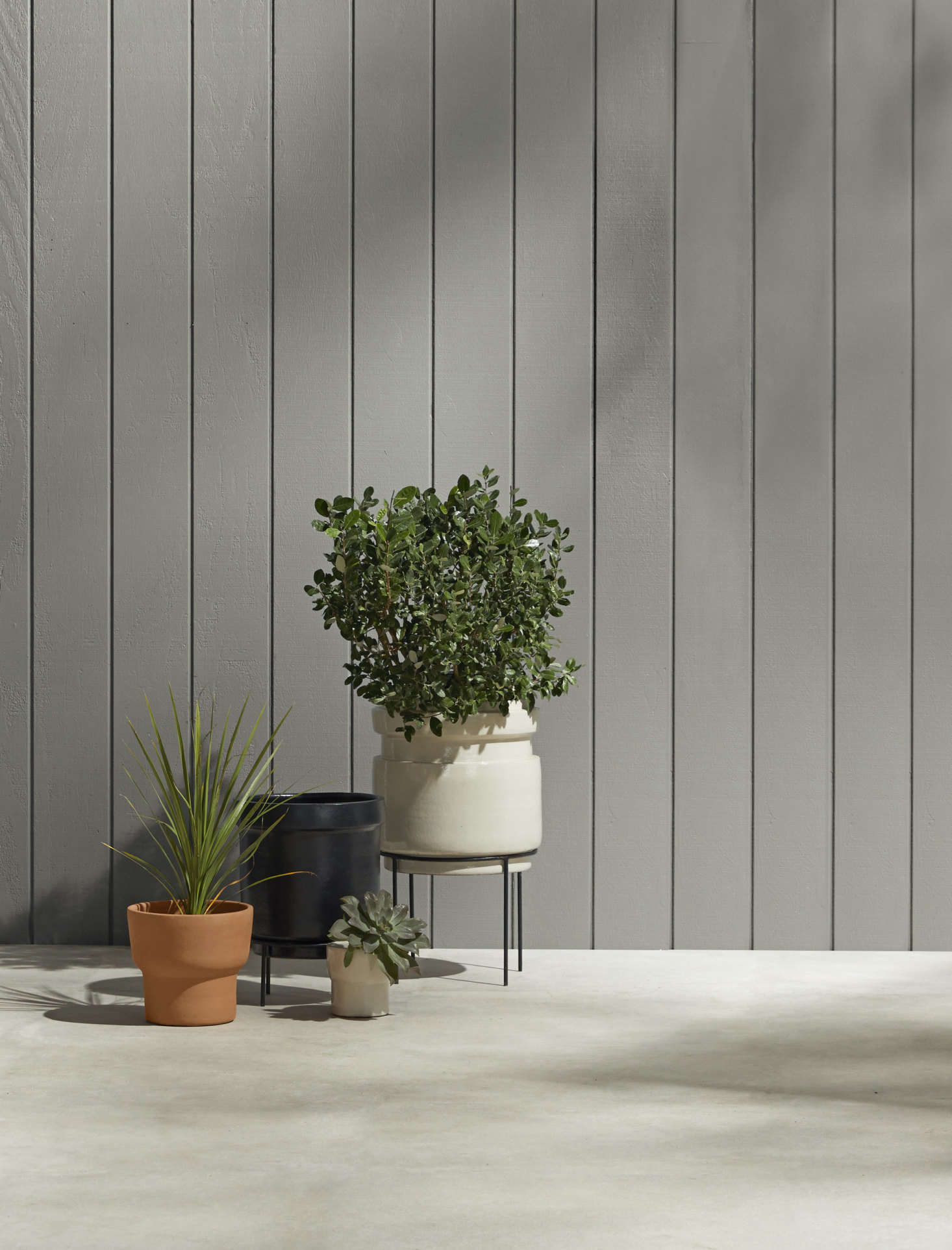The charming earthenware planters in Rejuvenation’s Brice collection come in eight styles and in terracotta, black, and white finishes. Try the tiny Brice Small Planter (front and center, in white; $34) for growing basil or mint indoors or out, or the Brice Large Planter with Tall Modern Metal Plant Stand (in back; $9) for a statement plant in the living room. Each can be used with or without a black metal plant stand—and one design, the Brice Planter with Wall-Mounted Metal Stand, can be affixed on a wall.