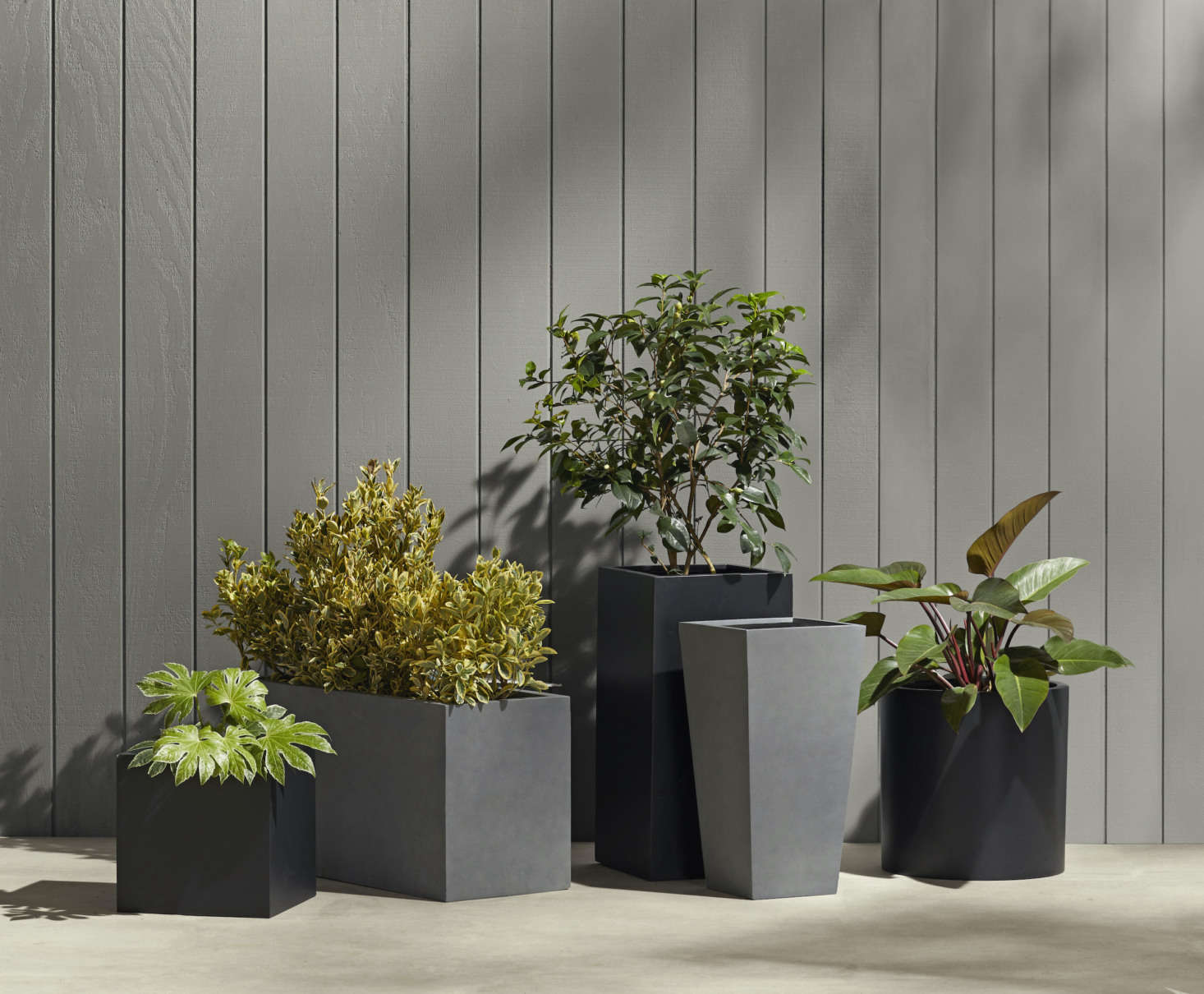 These industrial-style planters only look metal—but they’re actually made of lightweight, frost-proof fiberstone composite. They’re available in black or grey as well as a variety of sizes and shapes; we like the Modern Fiberstone Square Planter ($9; far left) and the long, low Modern Fiberstone Rectangle Planter ($9; second from left) for separating outdoor “rooms” on a patio.