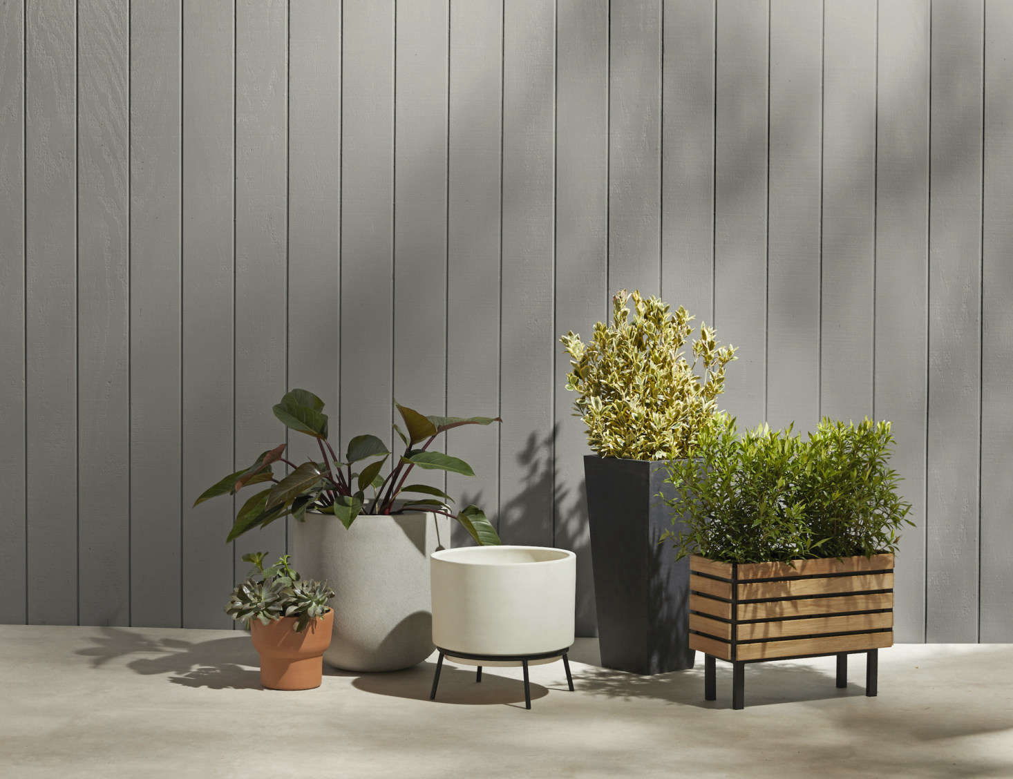 A cluster of Rejuvenation’s planter offerings, from midcentury-style to clean-lined teak, terracotta to steely grey.