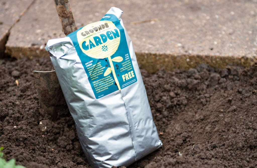 Gardening 101 How to Use Coffee Grounds in the Garden Gardenista
