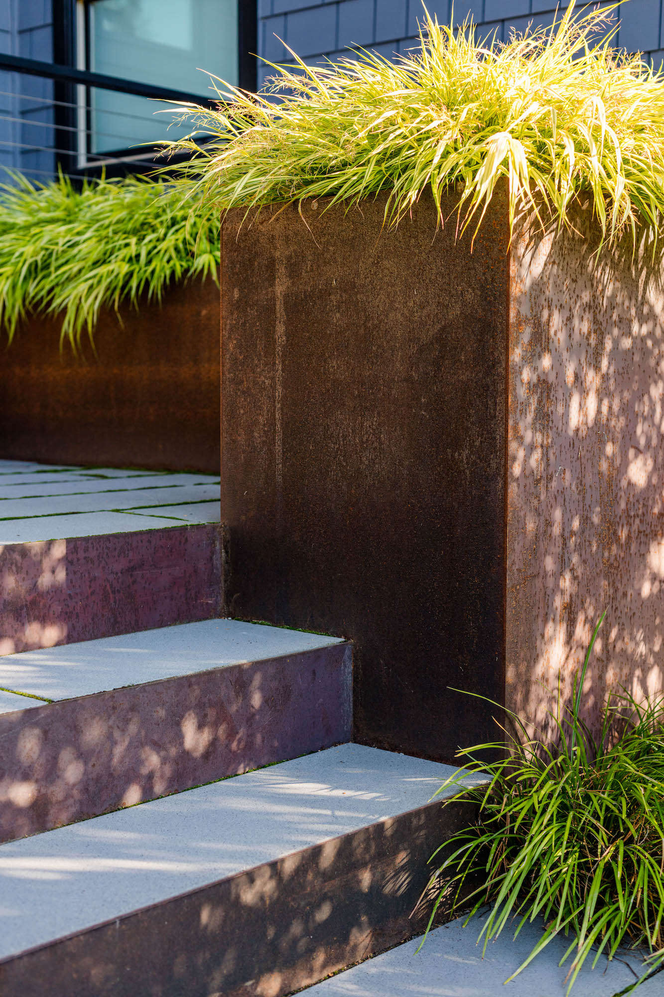 The steps are bracketed by 3-foot-tall carbon steel planters planted with Hakonechloa macra ‘Aureola’ Japanese Forest Grass. (For a similar plant, see Gardening data-src=