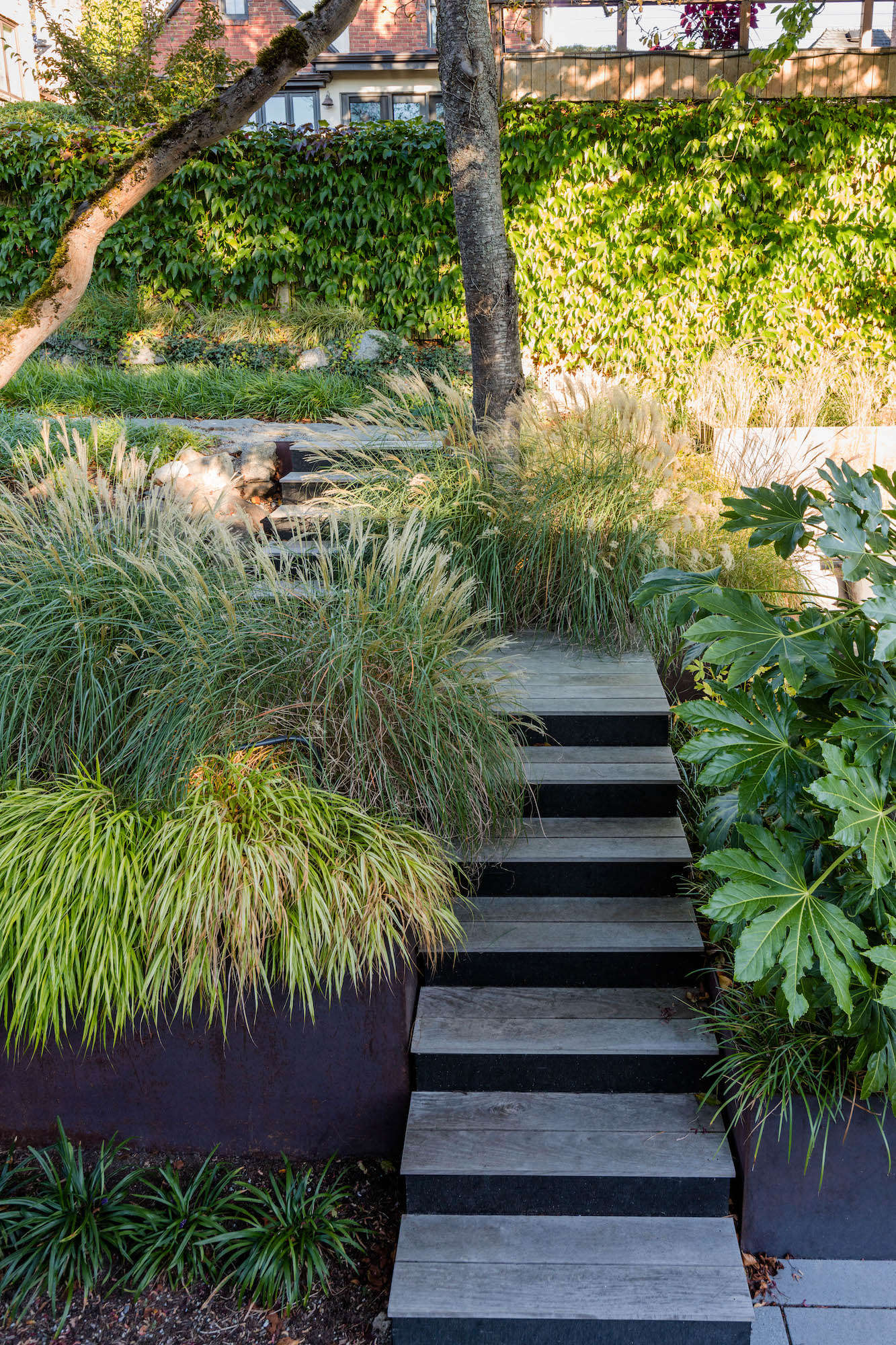 A mix of grasses—including Liriope muscari 