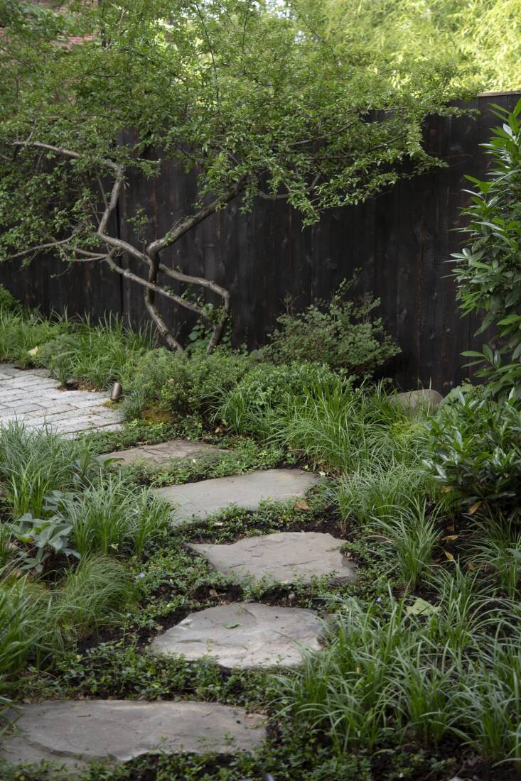 Brook Klausing grasses