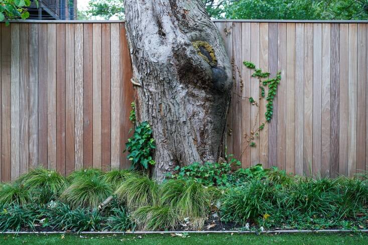 Take note of what\2\17;s great about the space and find a way to accentuate it. With judicious editing, Brook created focal points in a backyard garden.