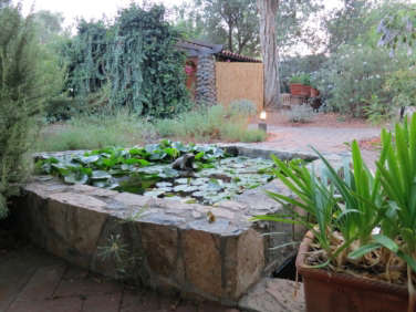 10 Ideas to Steal from Baja California Gardens - Gardenista