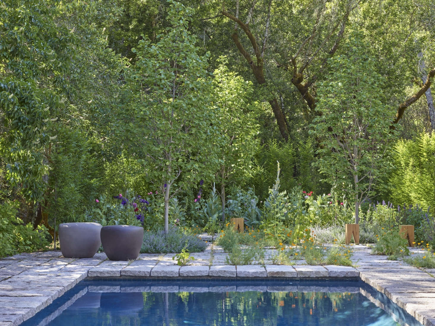 The structural work and the garden fundamentals—including a Carpinus (hornbeam) hedge and three 