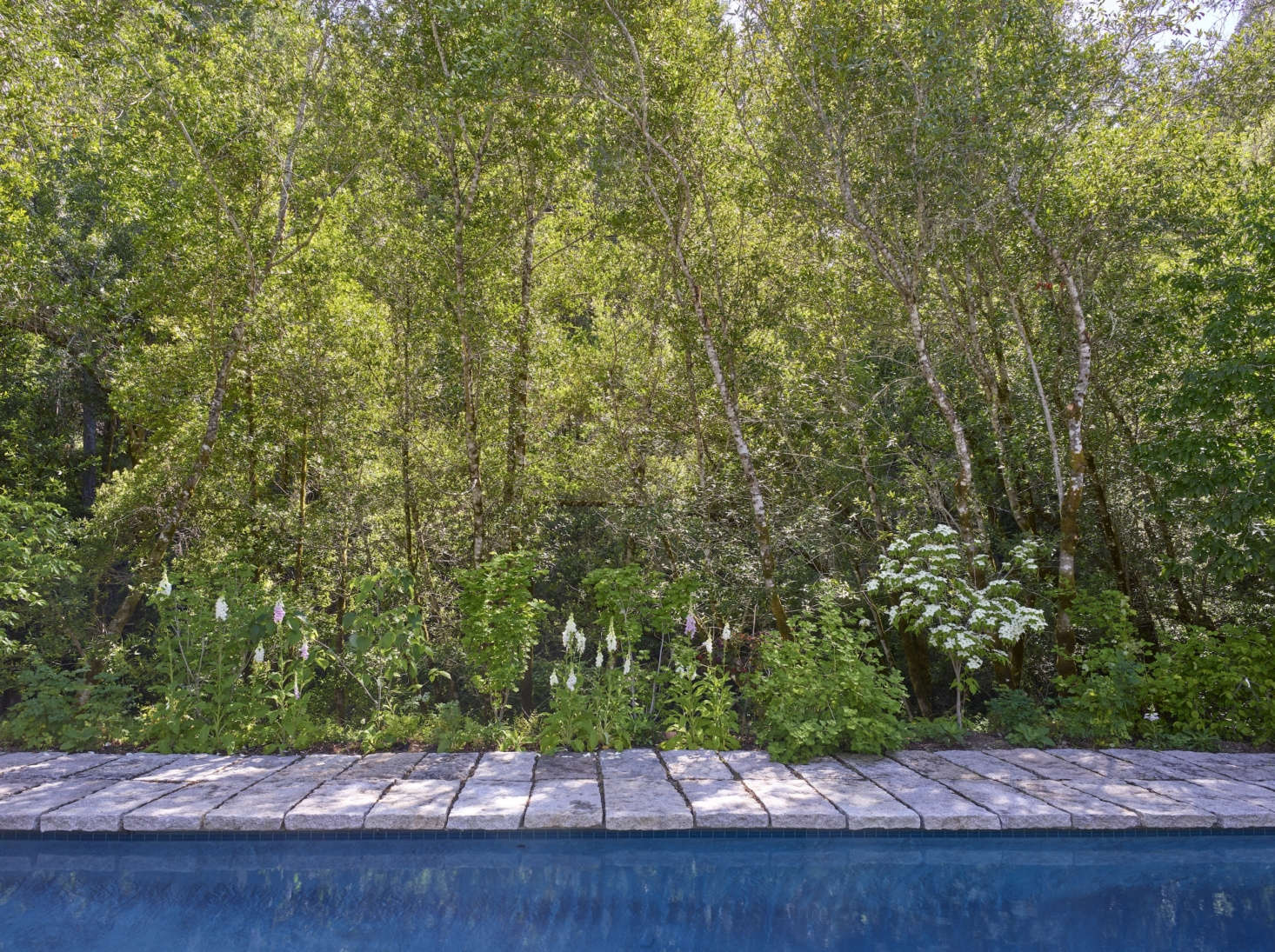 The pool was always on the property, but it was surrounded by concrete. The couple had the concrete replaced instead with slabs of reclaimed sidewalk that a stone supplier sold to them at a very discounted price.