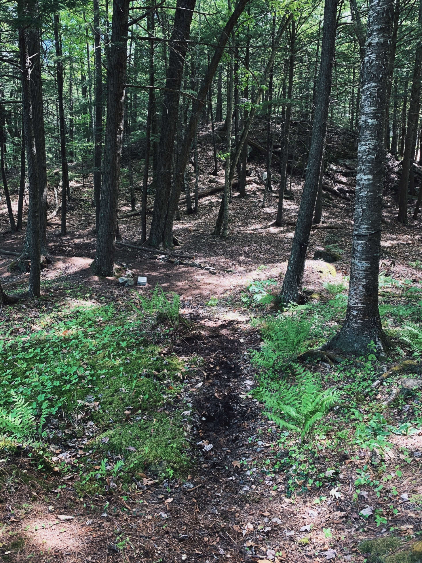 The area before the boardwalk.