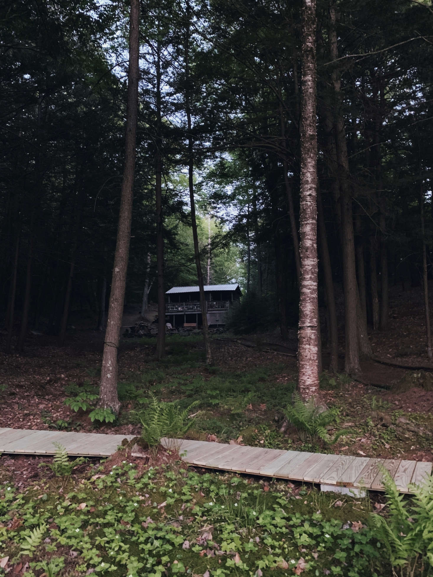 For a look inside the cabin, see Unplugged: A Young Couple’s DIY, Totally Off-the-Grid Cabin in the New Hampshire Woods.