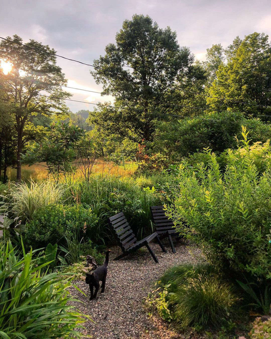 The couple are fans of the stone paths as they allow them to walk through the garden without getting muddy. (See Low-Cost Luxe: 9 Pea Gravel Patio Ideas to Steal.) They made the black chairs themselves as prototypes for a possible outdoor furniture collection.
