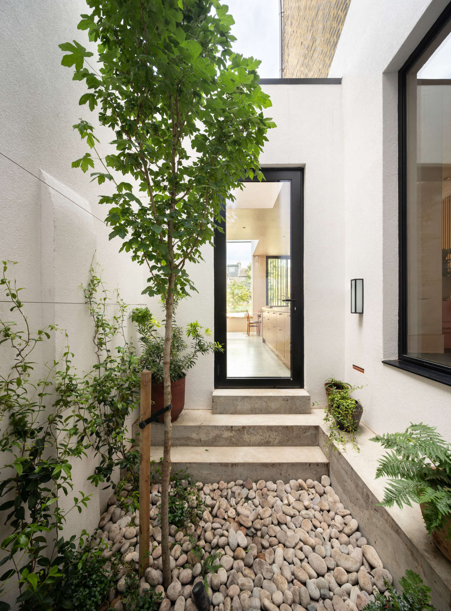 A tiny interior courtyard has a big, beautiful impact on nearly every room of this London home. Photograph by Adam Scott, courtesy of Fraher & Findlay, from Kitchen of the Week: A Modern Space Thanks to a Traditional ‘Tsubo-Niwa’.