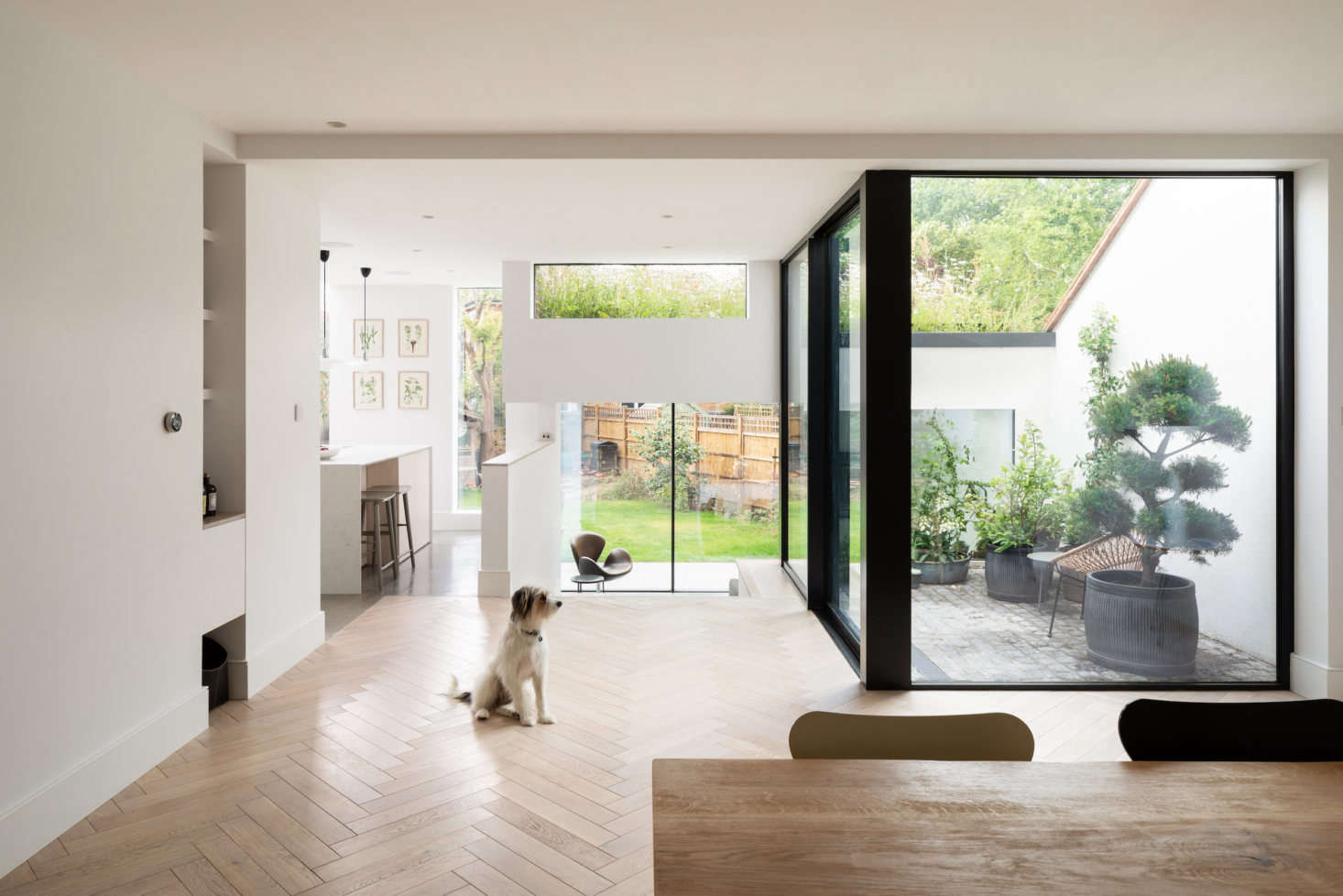 The view from inside the addition, toward the backyard, with the wildflower roof visible. To the right is a courtyard.