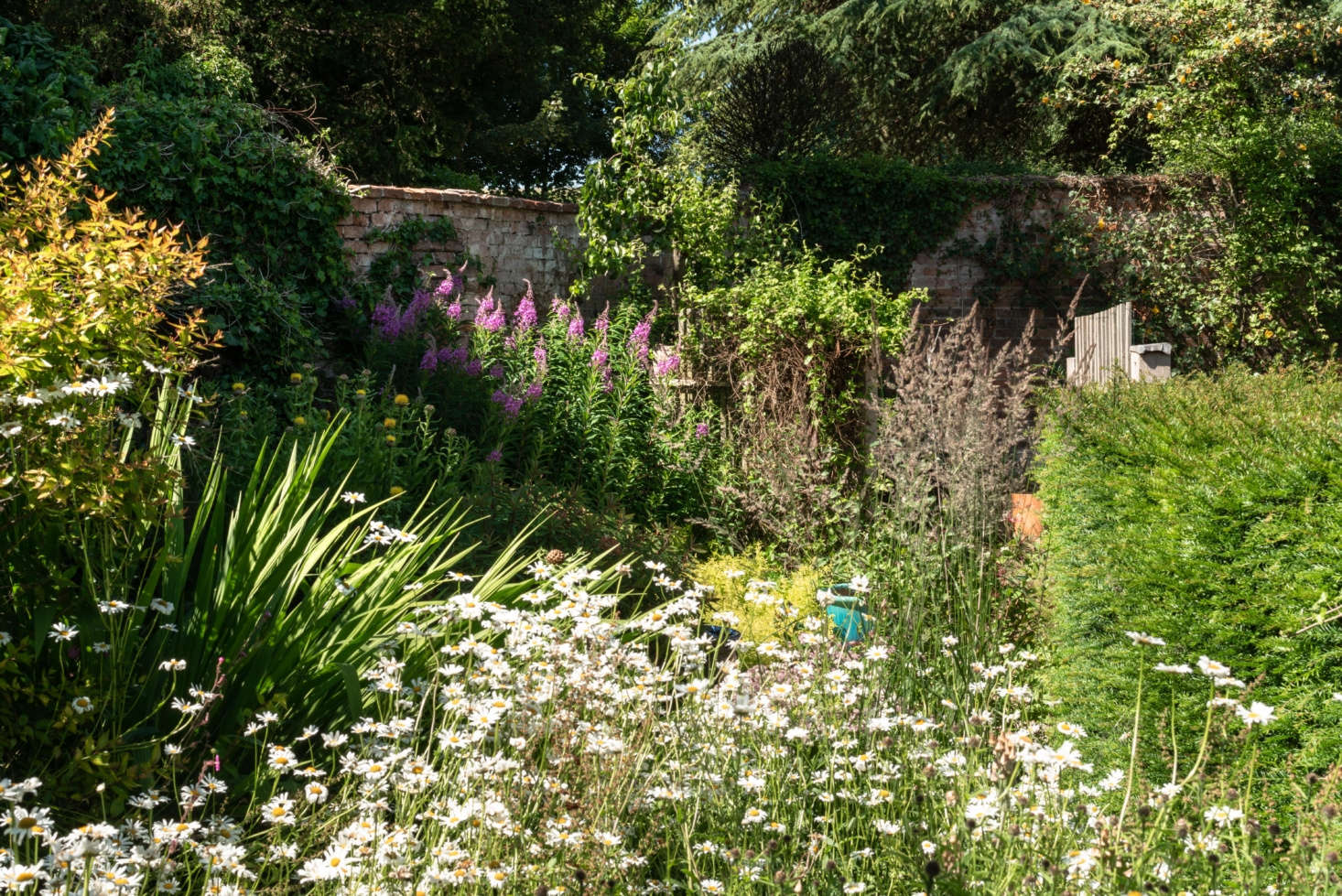 “We were determined when we first worked on the site years ago to be patient and wait a year before planting to get rid of pernicious weeds,