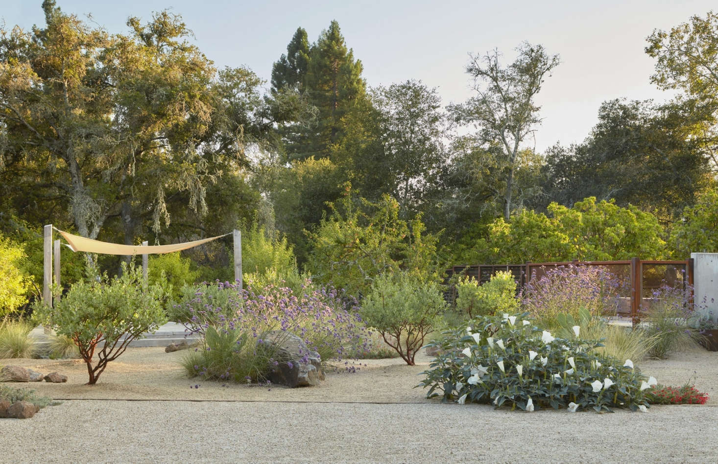 The garden was built on Southern Pomo ancestral territory. Story says the project “pollinates the agricultural and native contexts with contemporary sensibilities and uses.” Manuel Fernandez and his team from Green Footprint Landscaping worked with Story to bring her vision to life.
