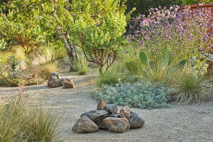 “We brought boulders into the mix—some massive and some small enough to move by hand—as a sort of nod to the Zen garden and to the continuous process of making and remaking the space,” says Story.