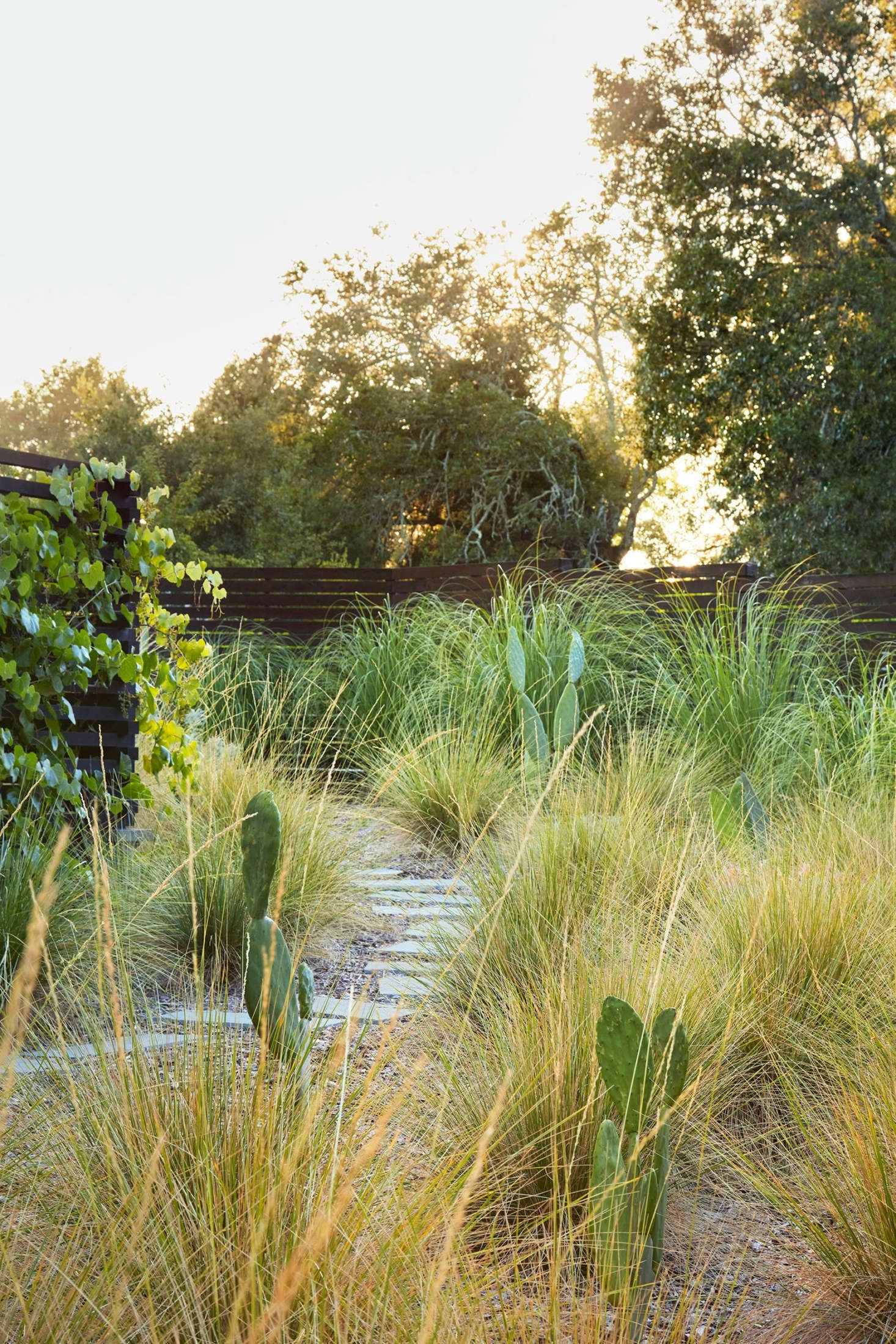 “Honestly this was one of those projects where you almost have to pinch yourself because it went so smoothly. We had a wonderful trusting client, incredibly skilled contractors that we love to work with, and a site rich with inspiration,” says Story.