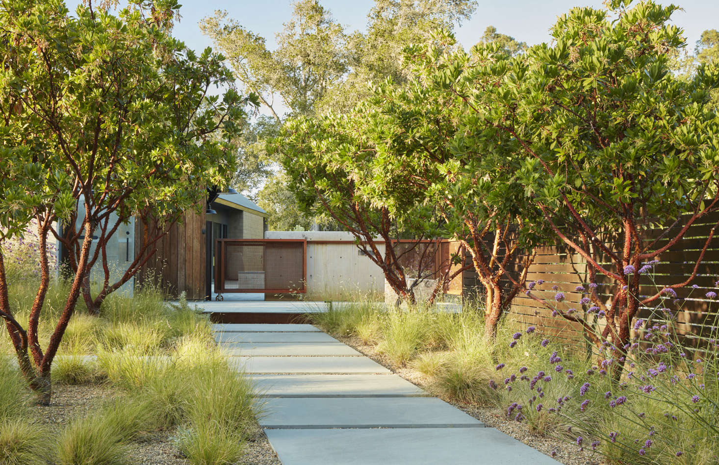 A stone pathway leads to the front gate. Along the sides are soft grasses and Arbutus ‘Marina’ trees.