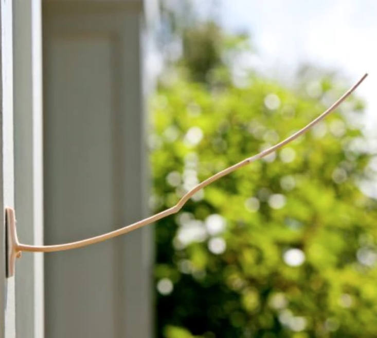 The Weather Stick at Vermont Country Store is made from dried fir wood; \2 for \$\15.90.