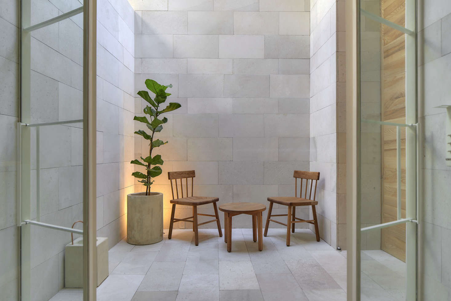 A tall fiddle-leaf fig tree adds vertical visual interest in this skylit patio at a new boutique hotel in Mexico. Photograph courtesy of Grupo Habita, from Círculo Mexicano: Soulful Minimalism in Mexico City.