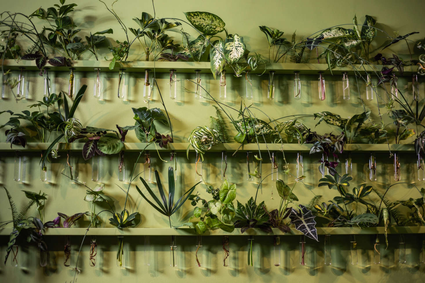 An inspired propagation station.