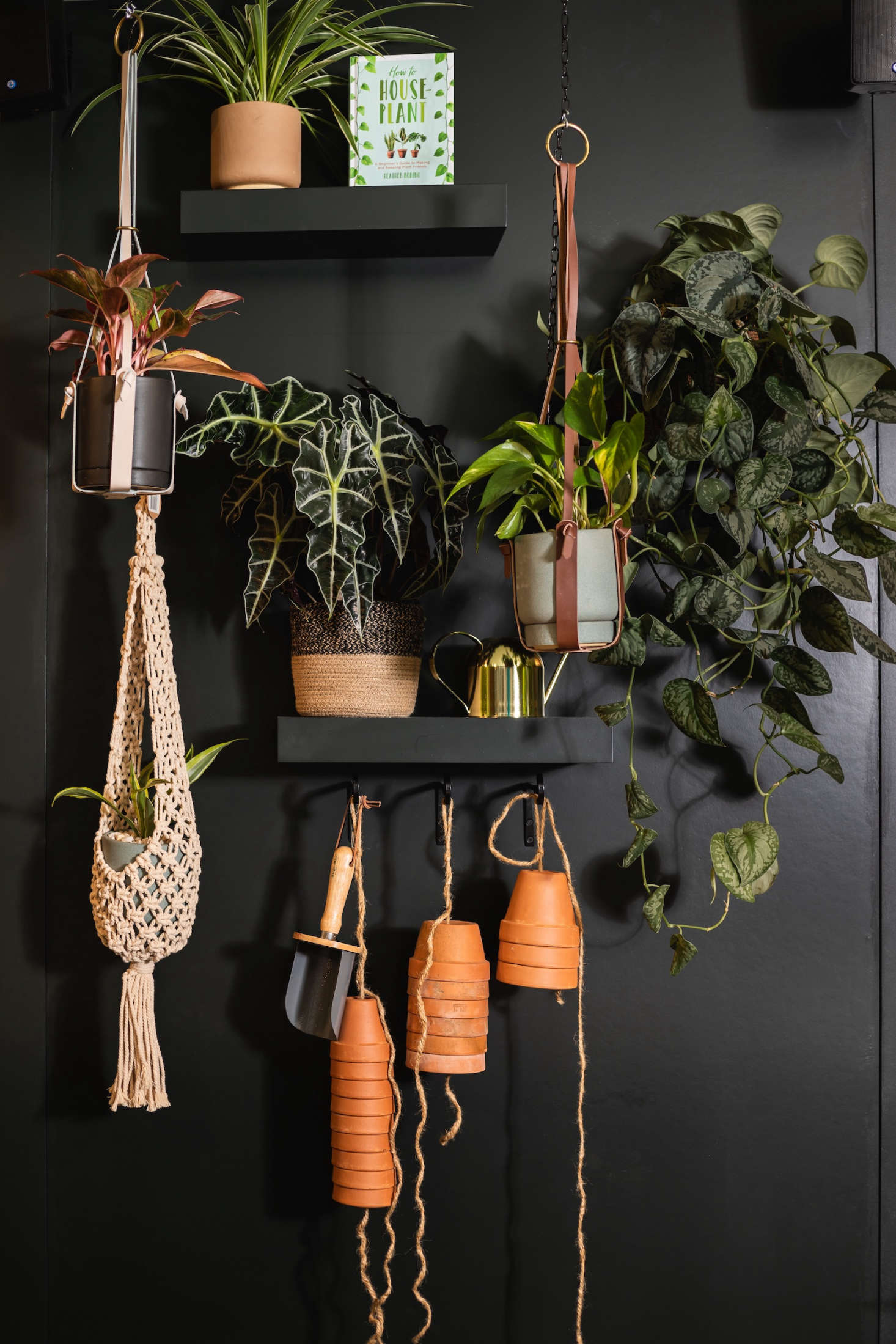 A display wall designed with signature whimsy by David