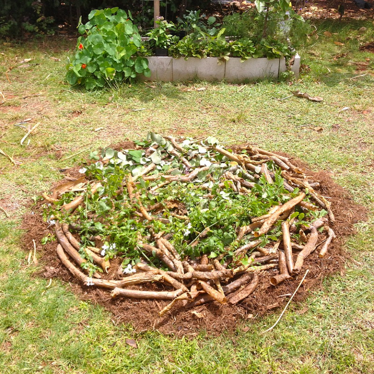 The Garden Decoder What Is ‘Hugelkultur’?