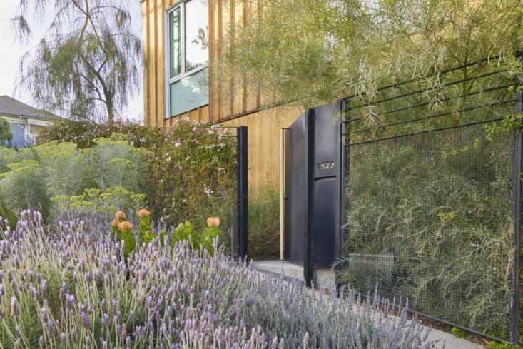 The wire mesh fence designed by Fredrik is overgrown with jasmine in places for a natural (and sweet-smelling) privacy screen.