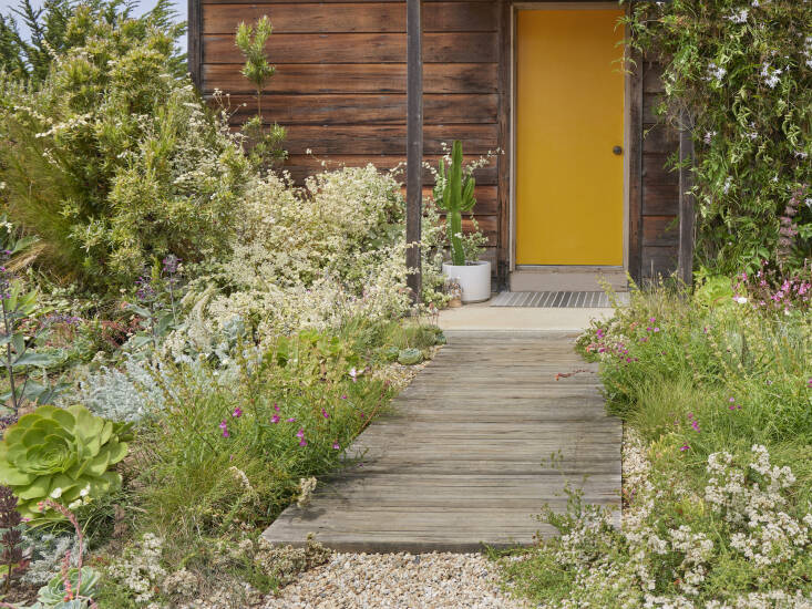 A boardwalk made from recycled redwood fencing leads to the sunny front door. Caitlin rents her Santa Cruz cottage, but she still tends to it with the same care as if she owned it. &#8\2\20;I think a lot of people don’t garden when they are in rentals, but it is really worth it, even if just starting with a few seeds!&#8\2\2\1;