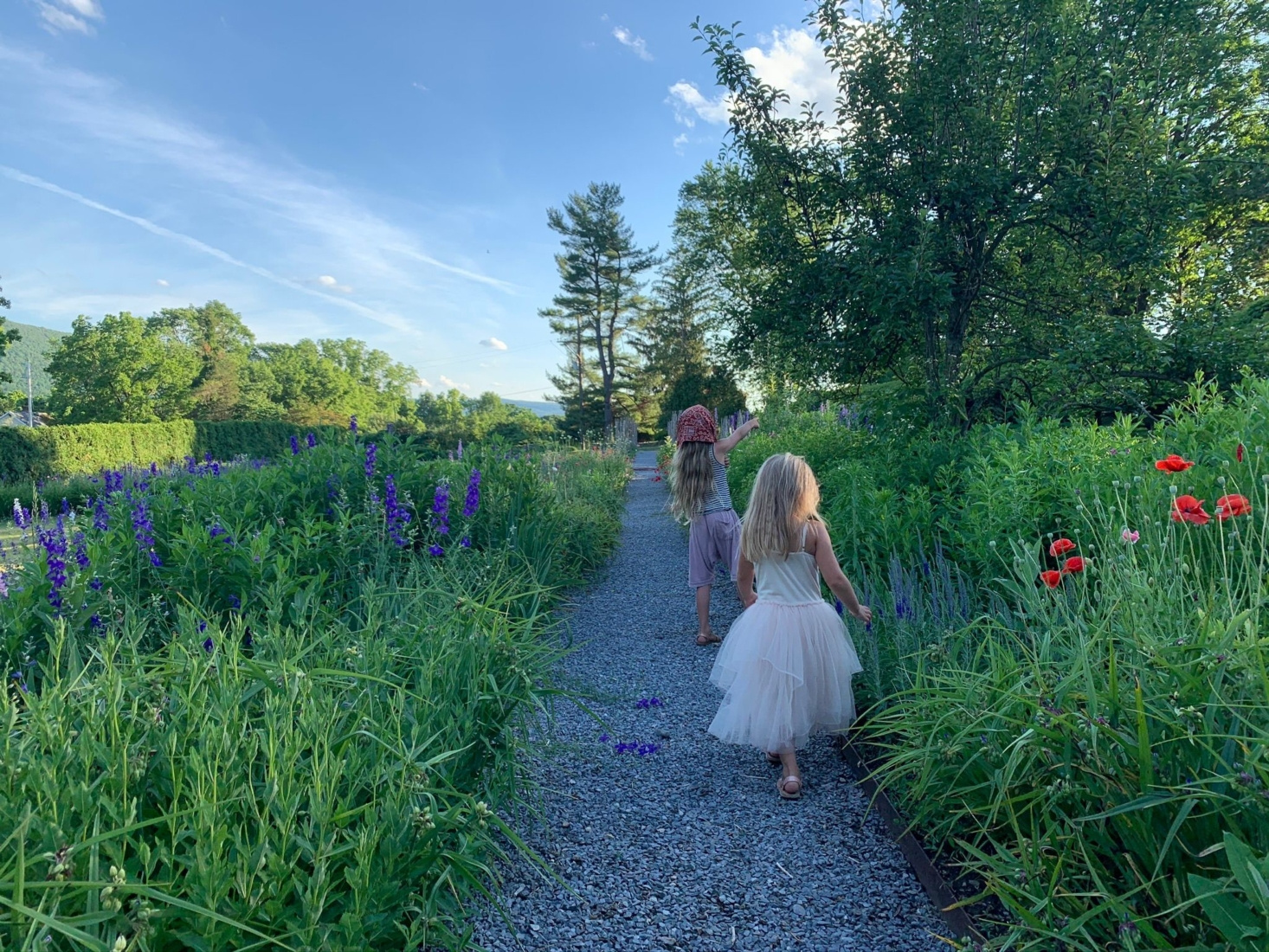 My kids bored easily helping me and would often wander away, leaving me in peace to tend to the garden.