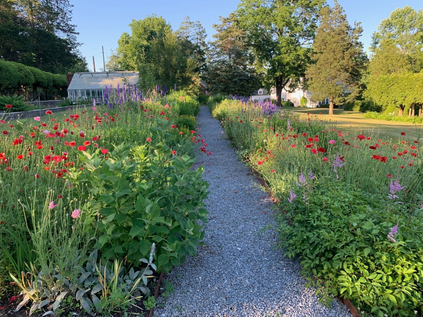 Meadowburn